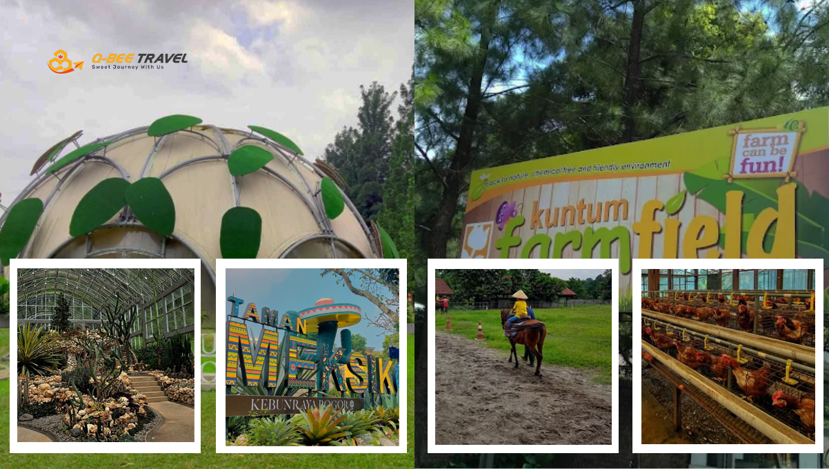 Kebun Raya - Farm Field (Q-Bee 3)